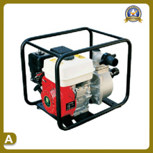 Garden Machinery of Water Pump (TS-5030P)